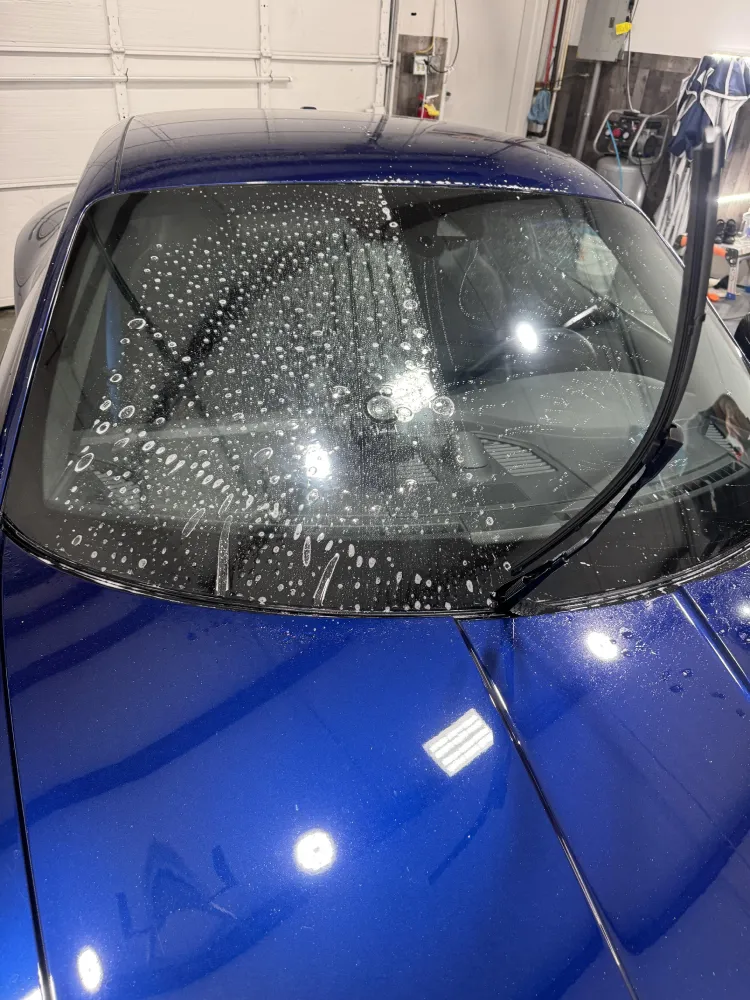windshield protection film